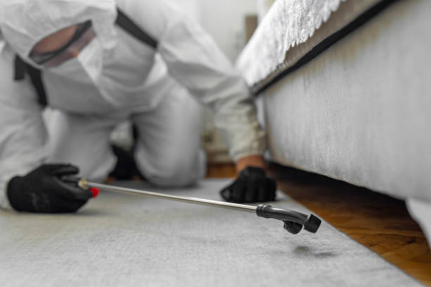 Professional Ant Control technician working in Lake Wisconsin, WI